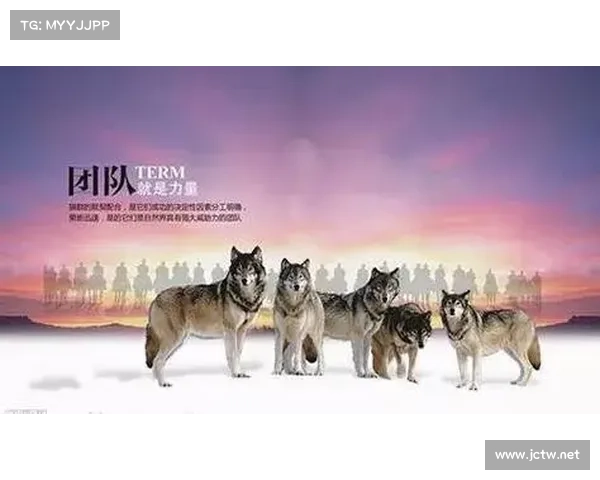 逆境中与顽强敌人较量的制胜智慧与逆袭成功的关键策略 逆境中与顽强敌人较量的制胜智慧与逆袭成功的关键策略